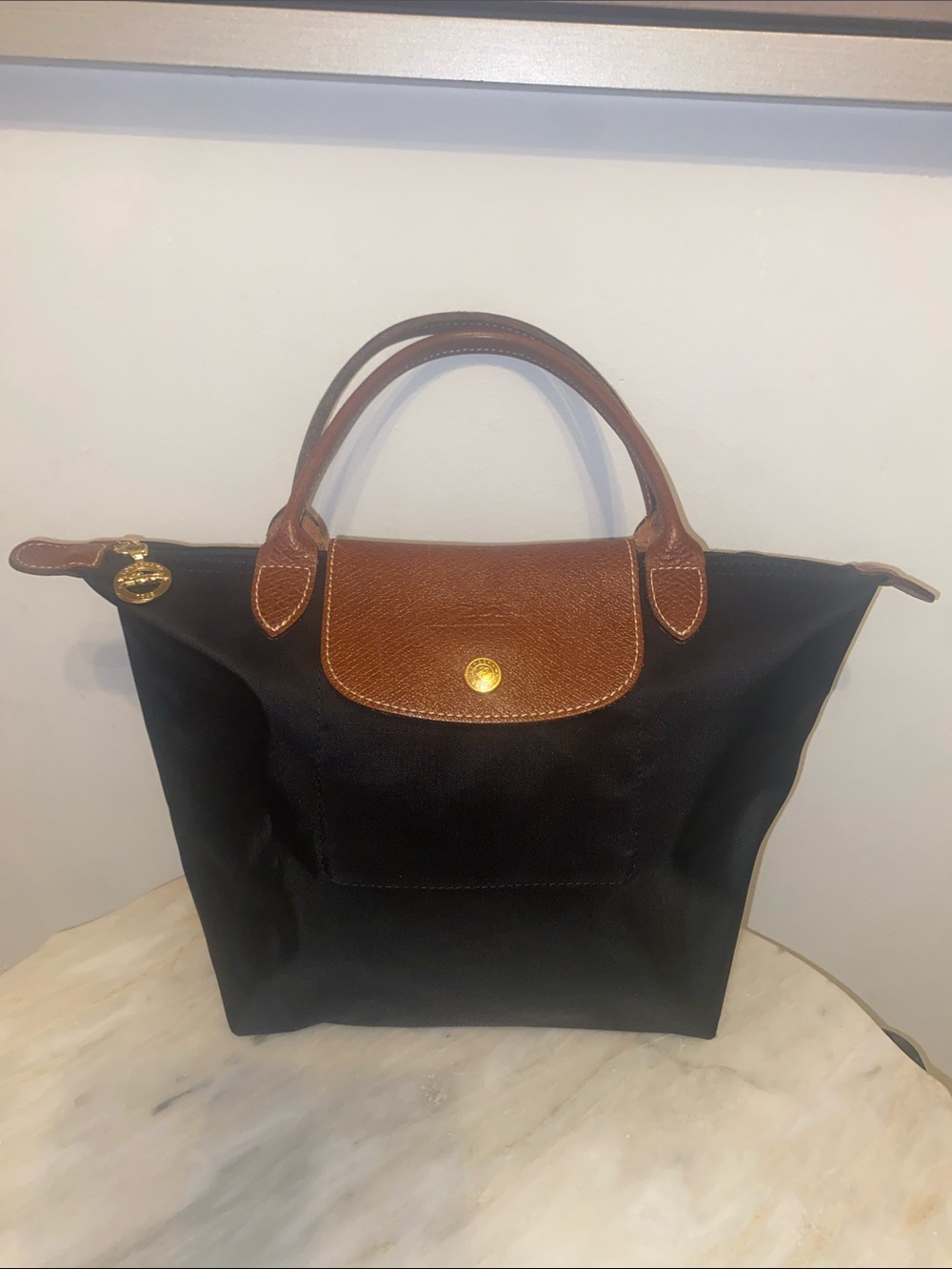 Longchamp Small Hand tote bag 💼